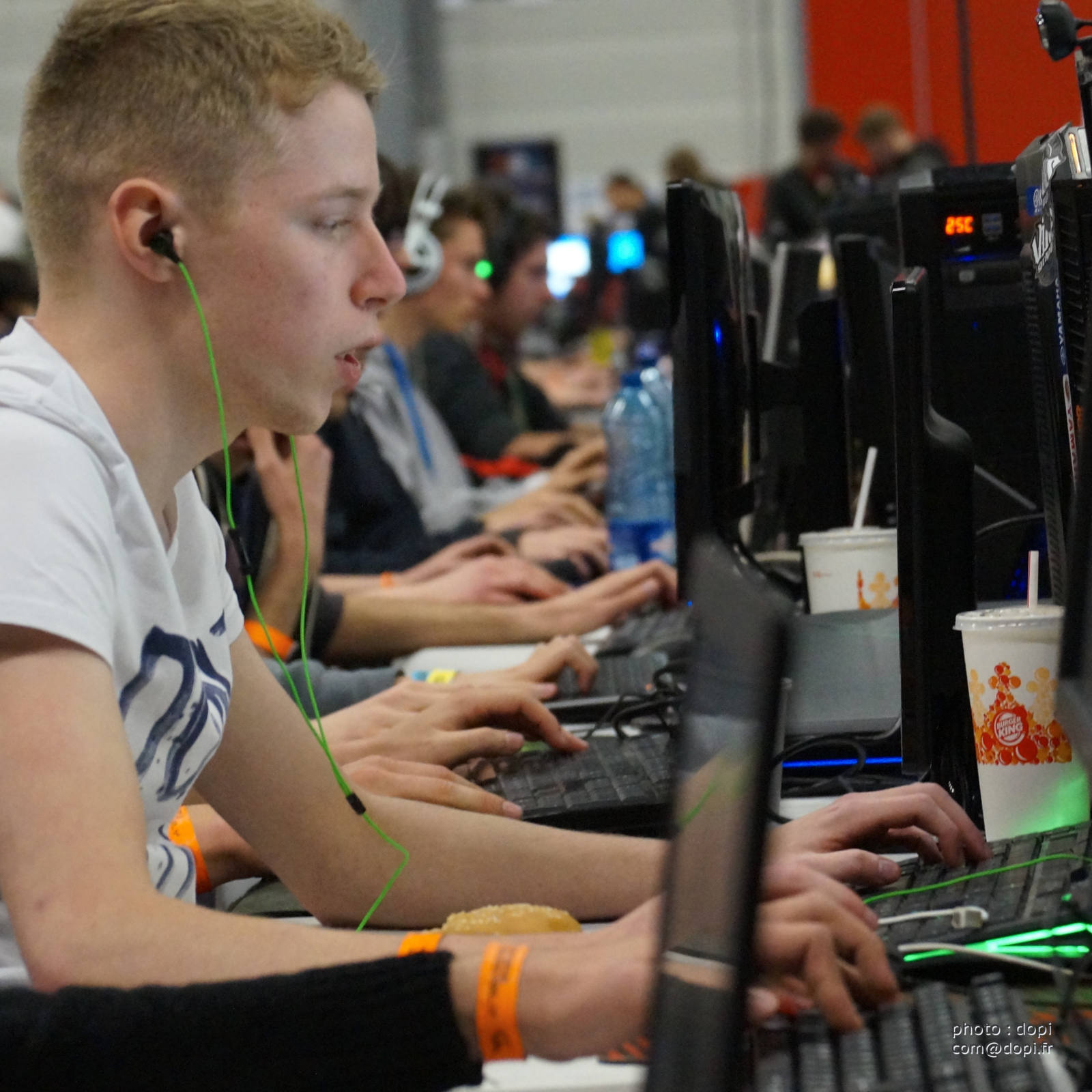 00002 jpegDSC01848,medium large.2x.1480336731